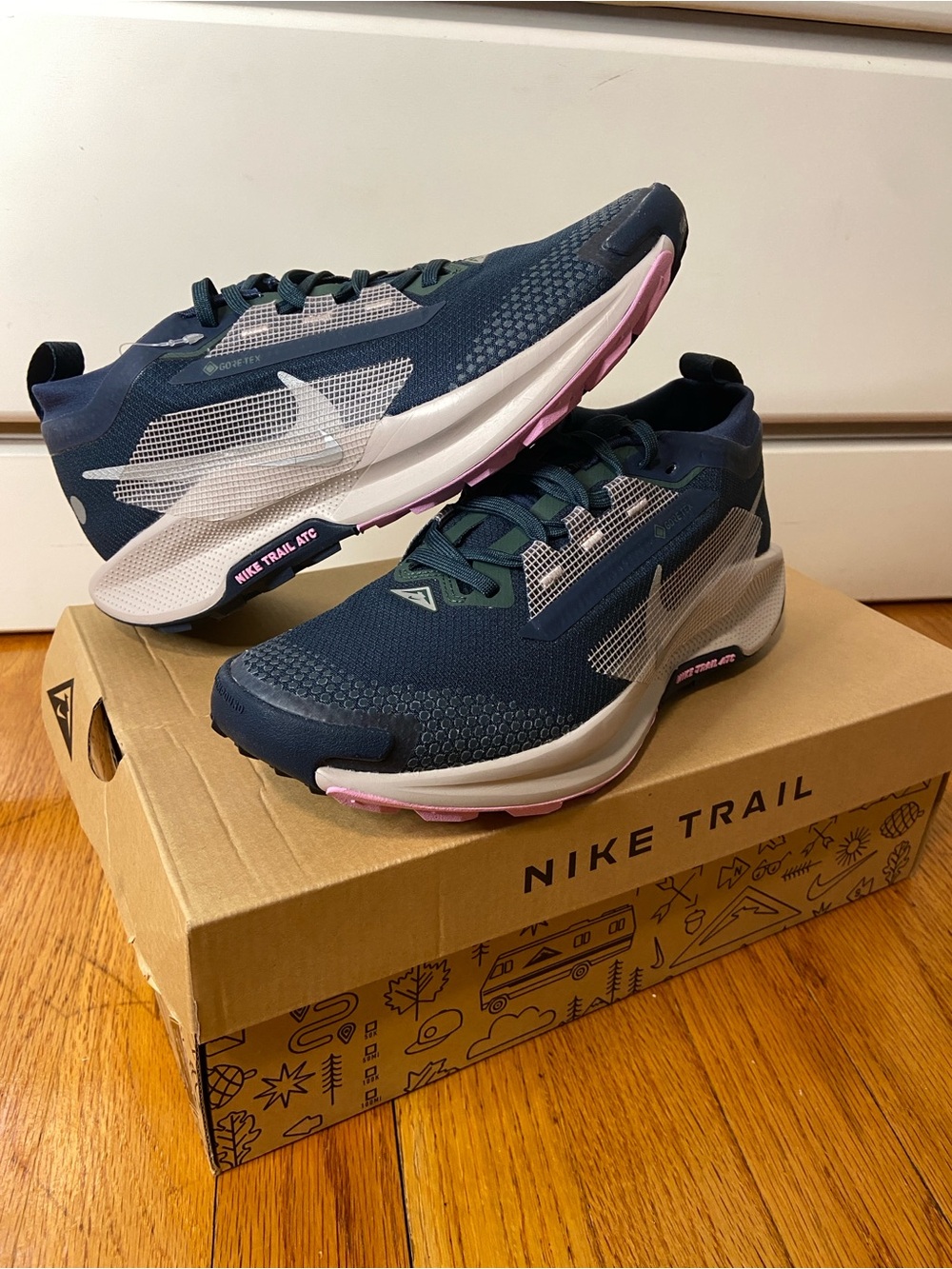 NWB Nike Pegasus Trail 5 GTX, Women’s 7.5